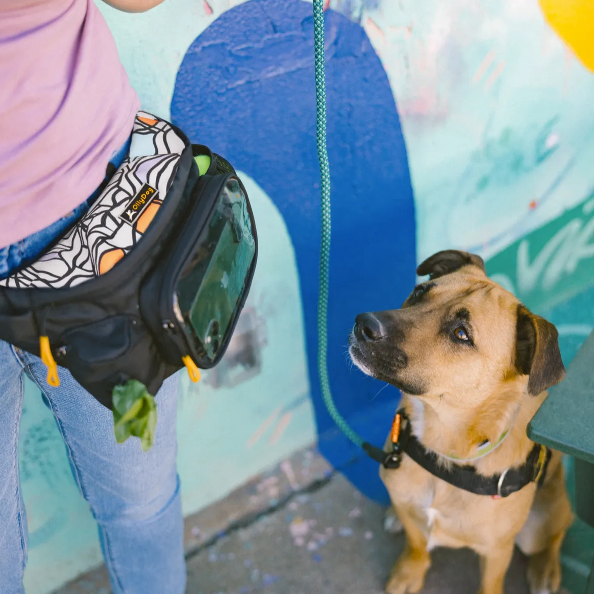 Trailblazer Pack With Bouncy Ball | Adventure Waist Pack