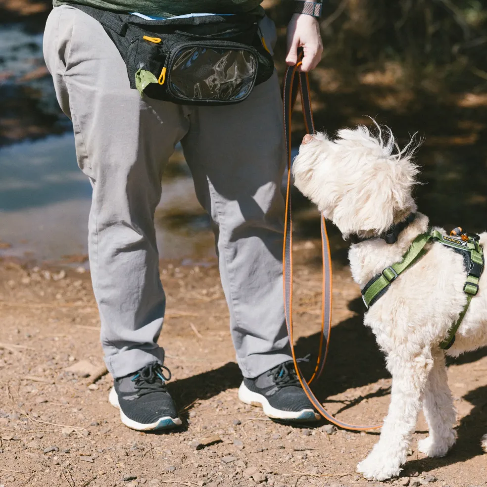 Trailblazer Pack With Bouncy Ball | Adventure Waist Pack